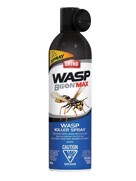 wasp killer in house